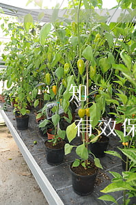 知識產(chǎn)權(quán)|如何有效保護(hù)商業(yè)秘密！